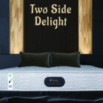Two Side Delight